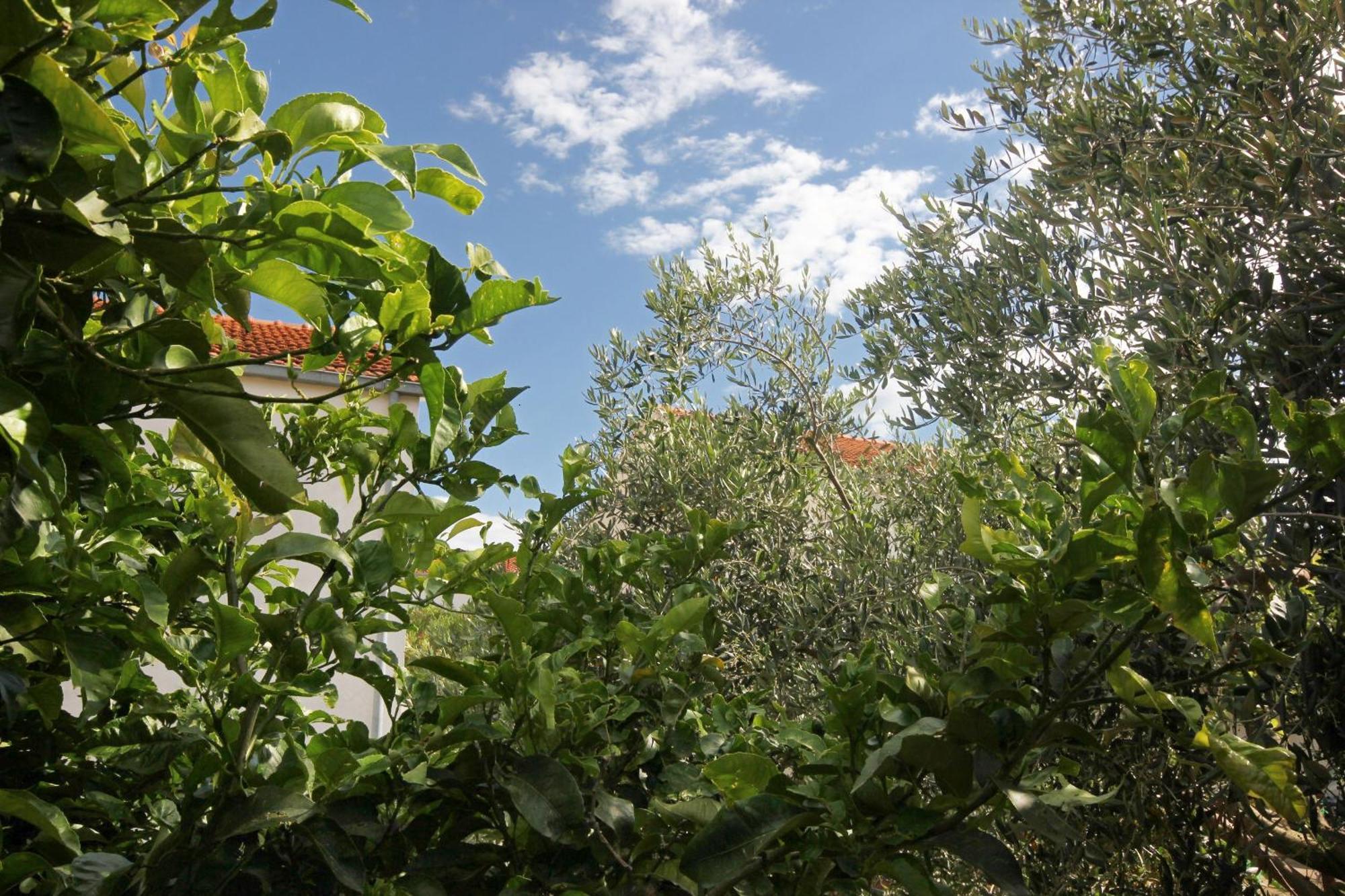 Holiday House With A Parking Space Orebic, Peljesac - 9482 Exterior photo